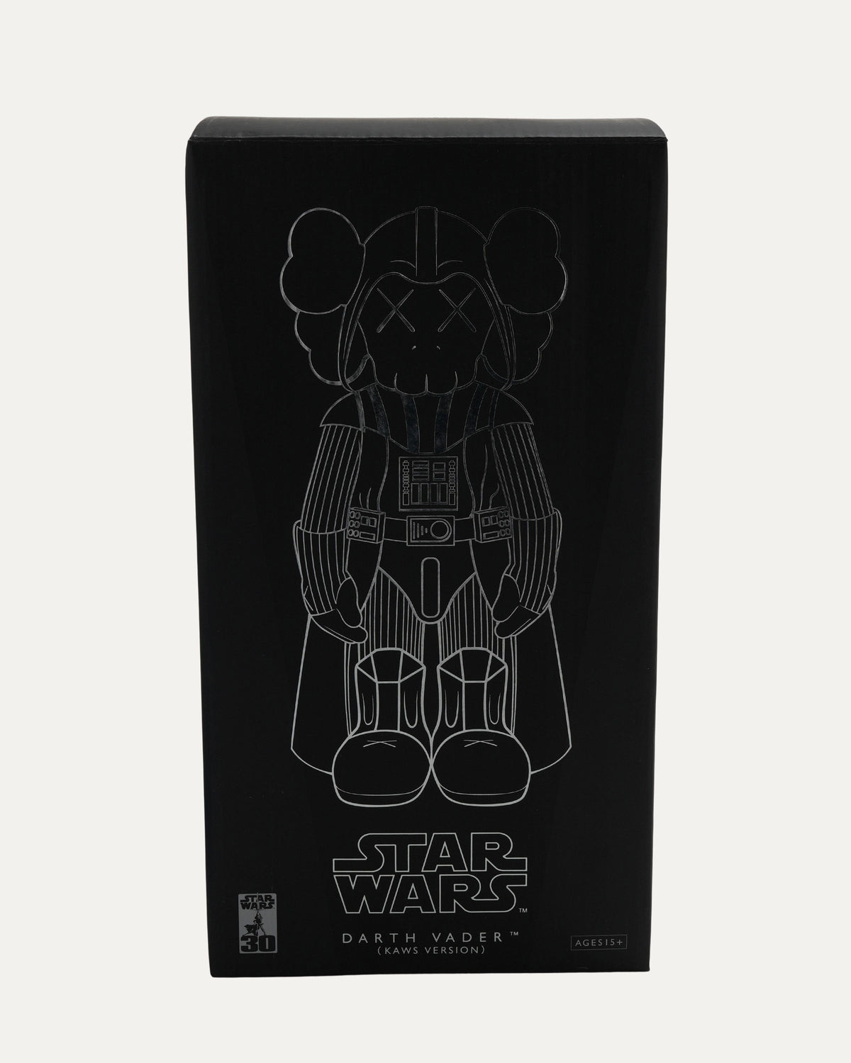 Star Wars Darth Vader Companion