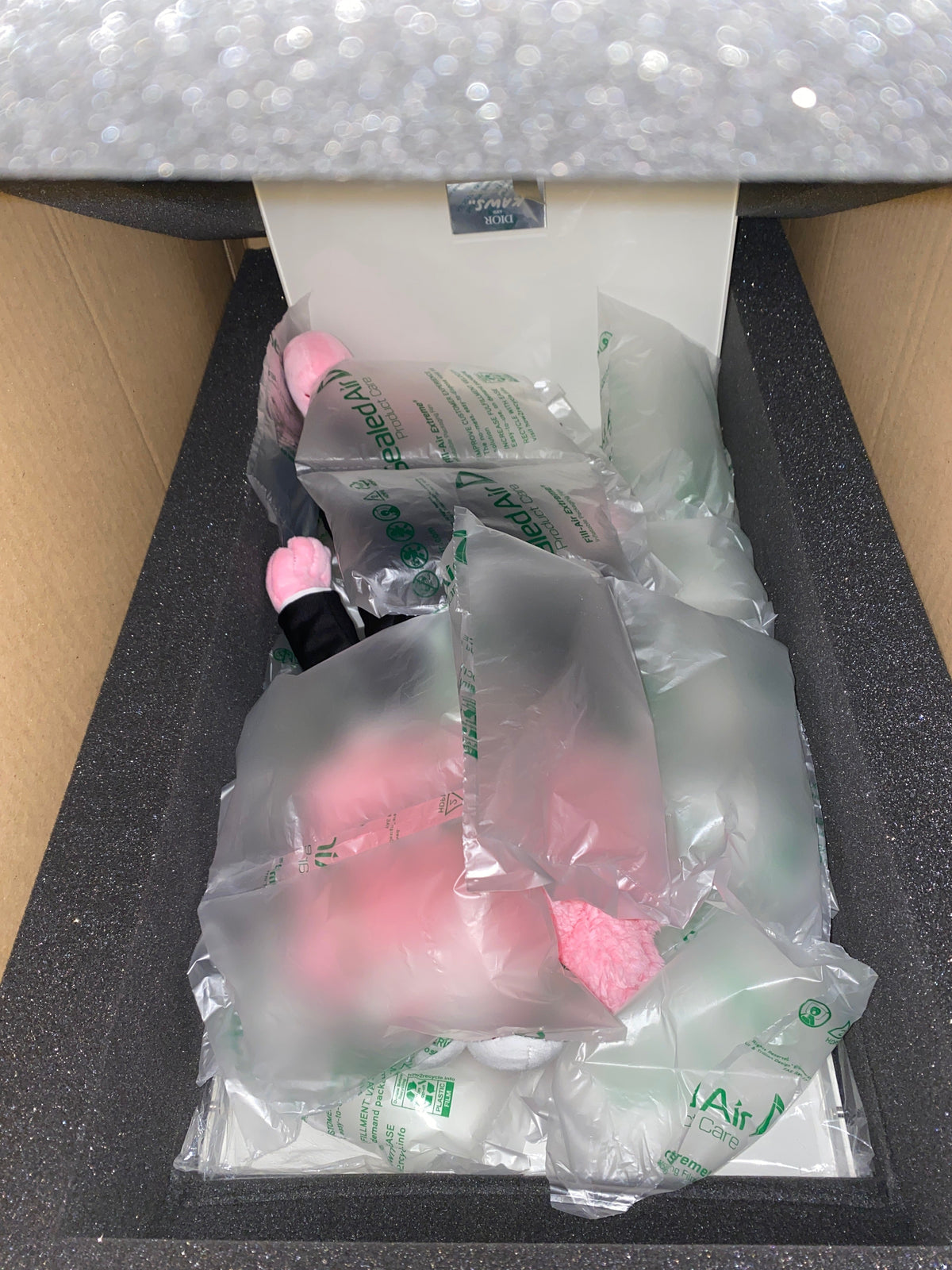 DIOR BFF Pink Plush