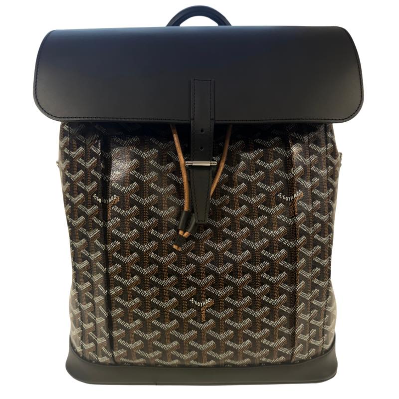 Goyard Alpin MM Backpack Black - Worn Once