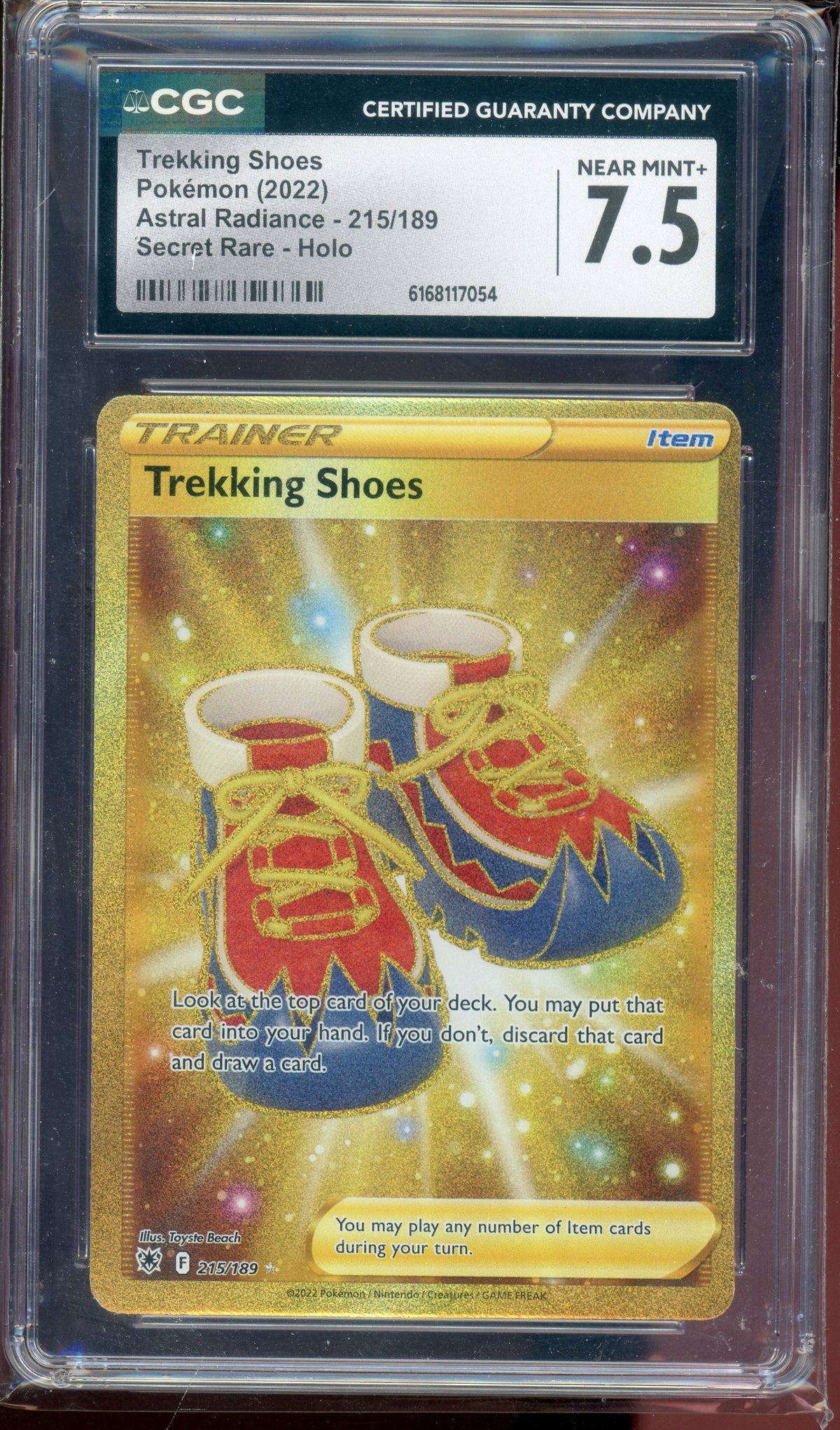 CGC 7.5 TREKKING SHOES