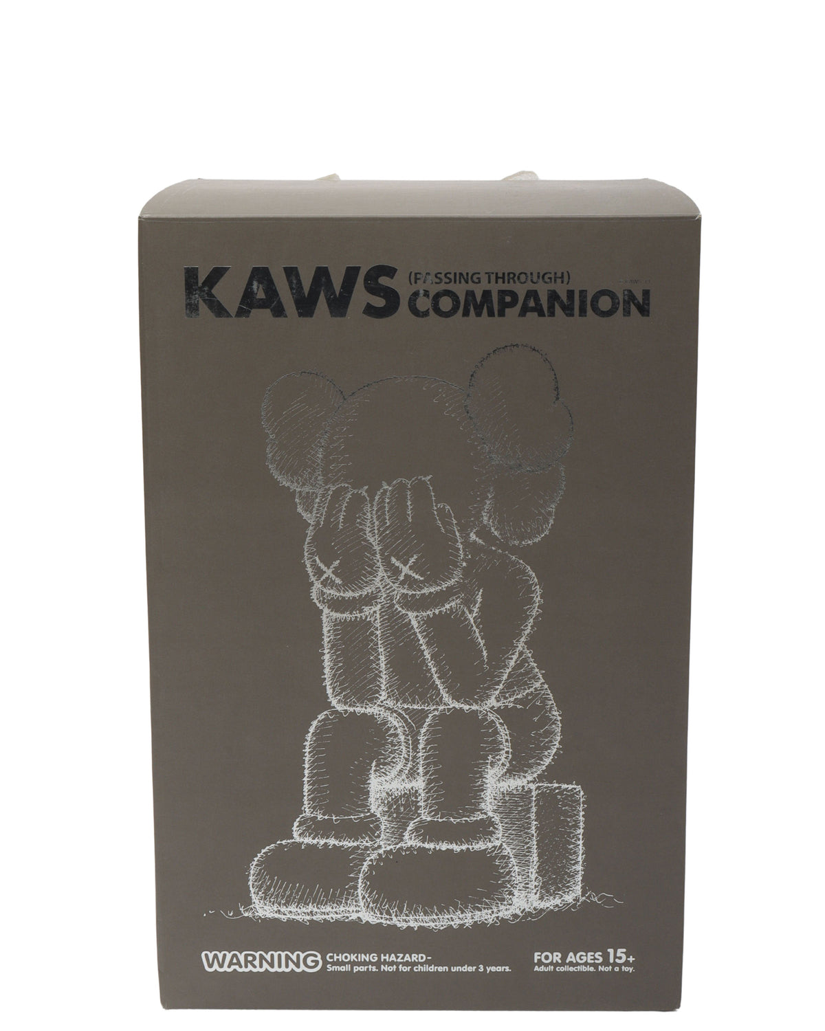 Passing Through Companion Vinyl Figure (2018)
