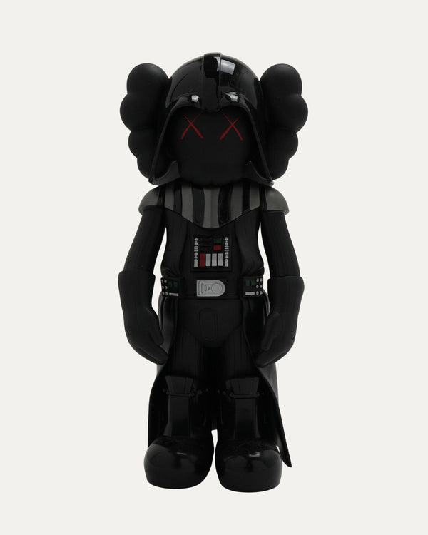 Star Wars Darth Vader Companion