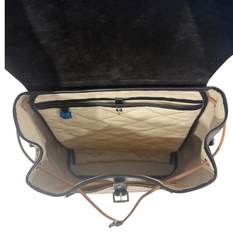 Goyard Alpin MM Backpack Black - Worn Once