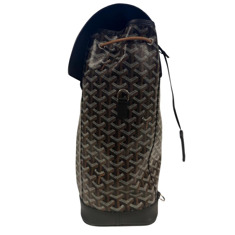Goyard Alpin MM Backpack Black - Worn Once