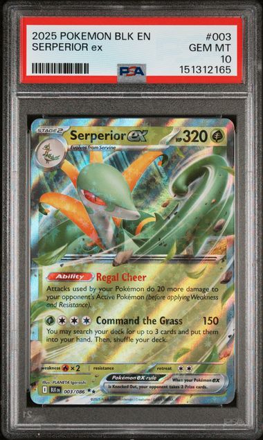 PSA 10 SERPERIOR ex BLACK BOLT